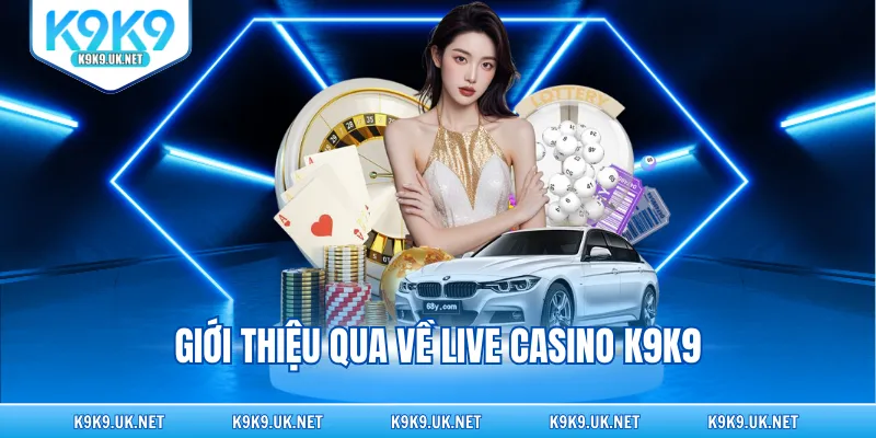 Giới thiệu qua về Casino K9K9