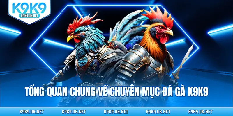 Tổng quan chung về chuyên mục đá gà K9K9